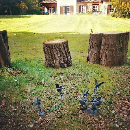 Quatre Saisons Ete Lägenhet