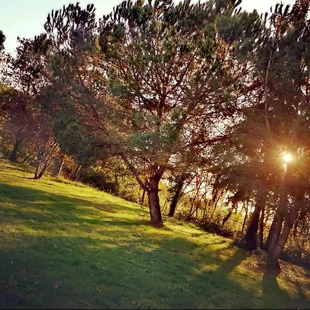 Quatre Saisons Ete Lägenhet Bergerac