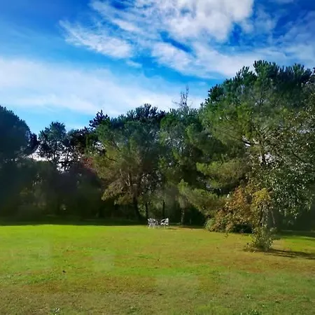 Quatre Saisons Ete Lägenhet *