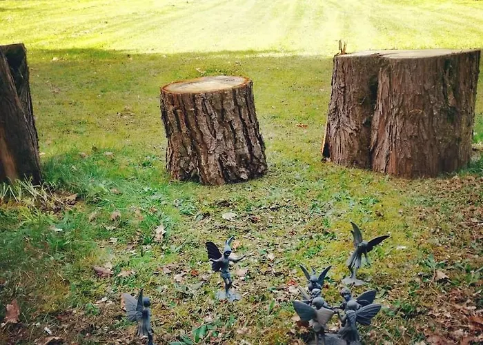 Quatre Saisons Ete דירה