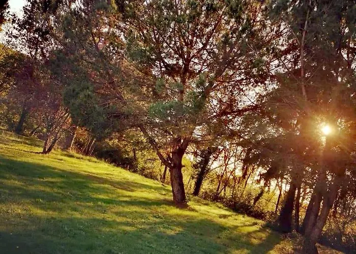 Quatre Saisons été Appartamento Bergerac