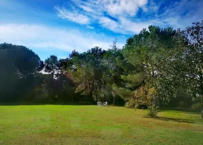 Quatre Saisons été Appartamento *